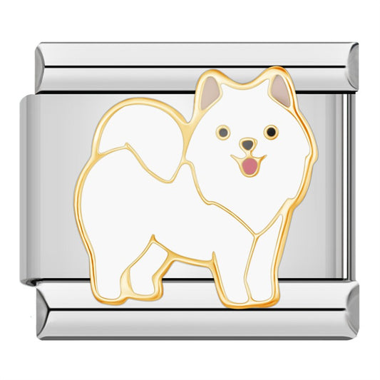 charm dog