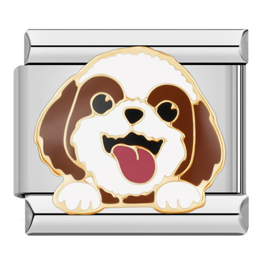 cachorro-quente